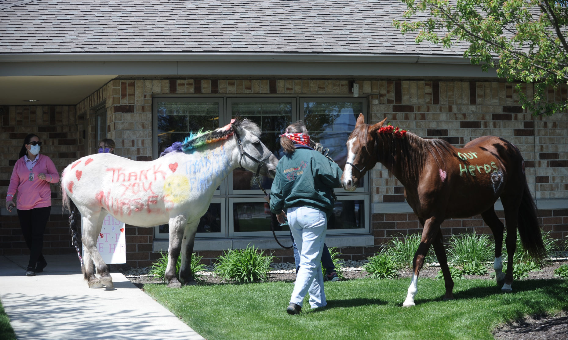 HORSES AT NURSING HOME